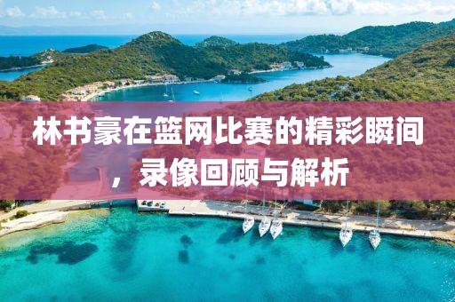 林书豪在篮网比赛的精彩瞬间，录像回顾与解析