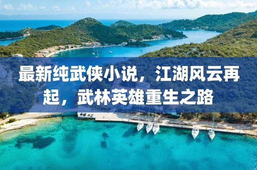 最新纯武侠小说，江湖风云再起，武林英雄重生之路