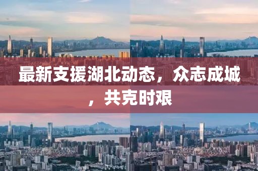 最新支援湖北动态，众志成城，共克时艰
