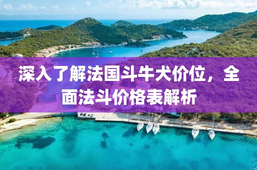 深入了解法国斗牛犬价位，全面法斗价格表解析