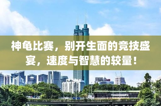 神龟比赛，别开生面的竞技盛宴，速度与智慧的较量！