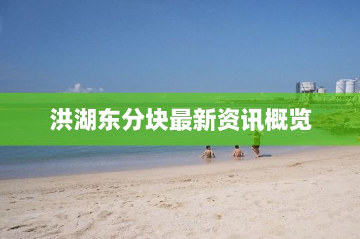 洪湖东分块最新资讯概览