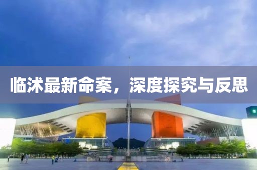 临沭最新命案，深度探究与反思