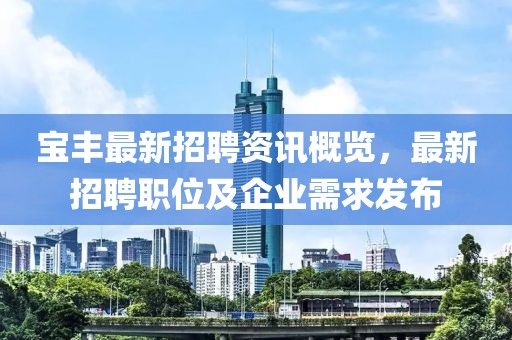 宝丰最新招聘资讯概览，最新招聘职位及企业需求发布