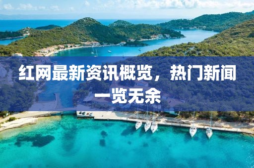 红网最新资讯概览，热门新闻一览无余