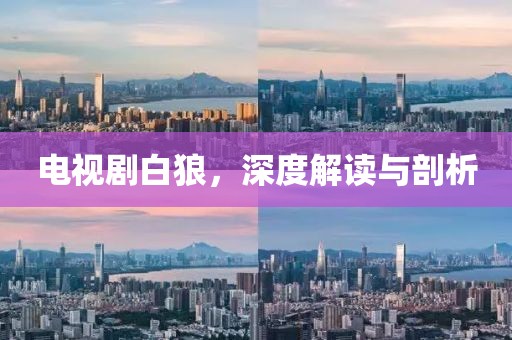电视剧白狼，深度解读与剖析