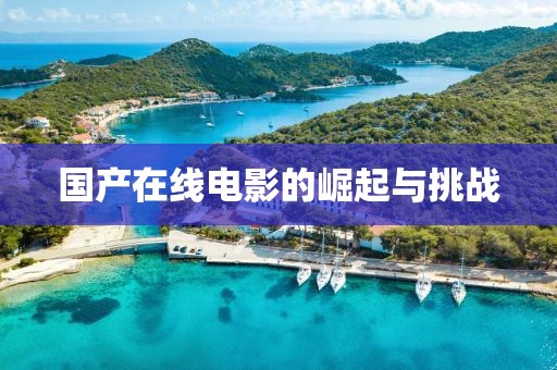 国产在线电影的崛起与挑战