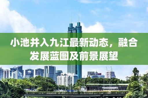 小池并入九江最新动态，融合发展蓝图及前景展望