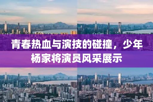 青春热血与演技的碰撞，少年杨家将演员风采展示