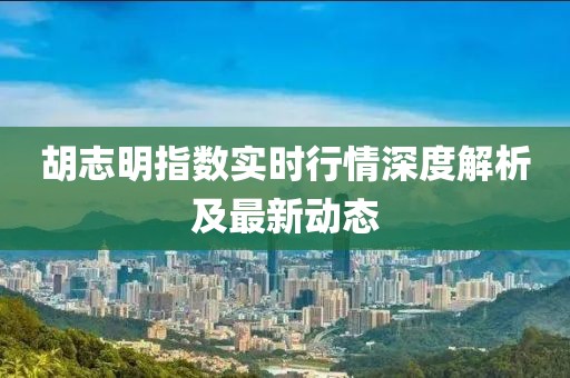 胡志明指数实时行情深度解析及最新动态