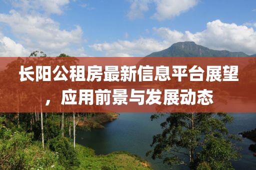 长阳公租房最新信息平台展望，应用前景与发展动态