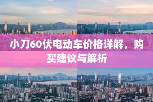 小刀60伏电动车价格详解，购买建议与解析