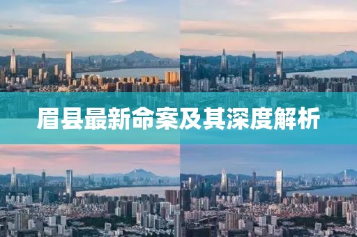 眉县最新命案及其深度解析