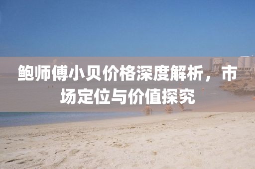 鲍师傅小贝价格深度解析，市场定位与价值探究