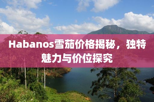 Habanos雪茄价格揭秘，独特魅力与价位探究