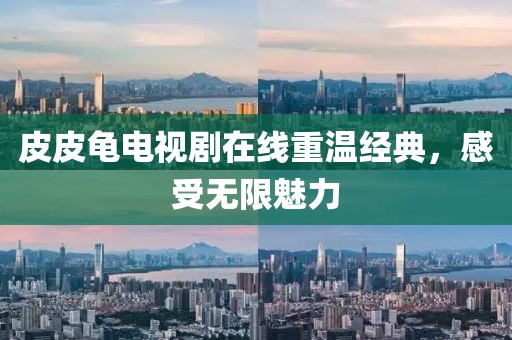 皮皮龟电视剧在线重温经典，感受无限魅力