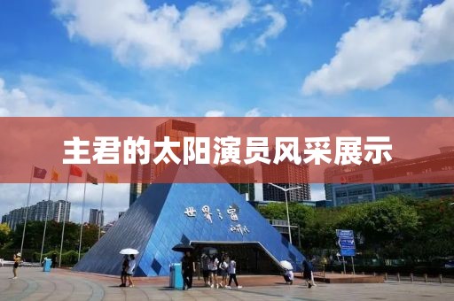 主君的太阳演员风采展示