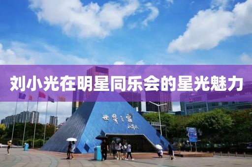 刘小光在明星同乐会的星光魅力