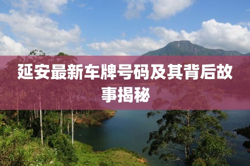 延安最新车牌号码及其背后故事揭秘