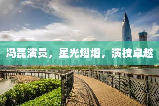 冯磊演员，星光熠熠，演技卓越