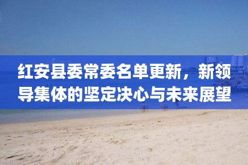 红安县委常委名单更新，新领导集体的坚定决心与未来展望