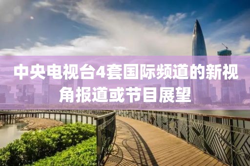 中央电视台4套国际频道的新视角报道或节目展望