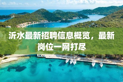 沂水最新招聘信息概览，最新岗位一网打尽