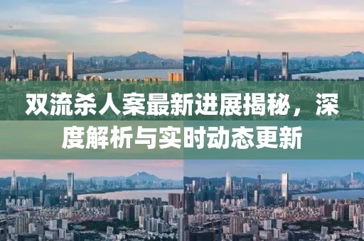 双流杀人案最新进展揭秘，深度解析与实时动态更新