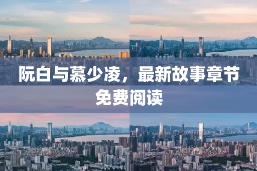 阮白与慕少凌，最新故事章节免费阅读
