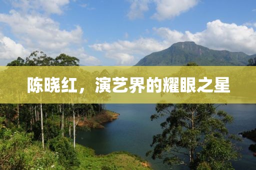 陈晓红，演艺界的耀眼之星