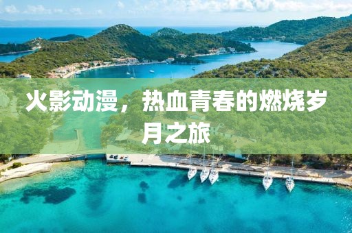 火影动漫，热血青春的燃烧岁月之旅
