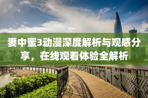 妻中蜜3动漫深度解析与观感分享，在线观看体验全解析