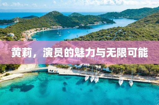 黄莉，演员的魅力与无限可能