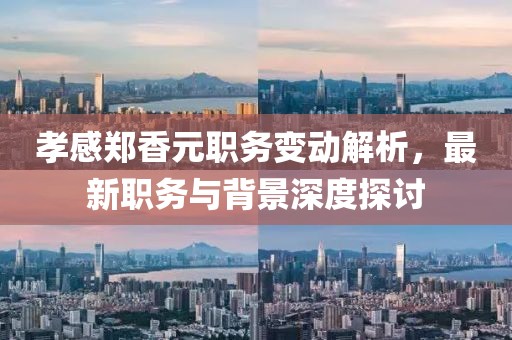 孝感郑香元职务变动解析，最新职务与背景深度探讨