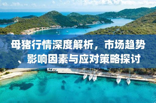 母猪行情深度解析，市场趋势、影响因素与应对策略探讨