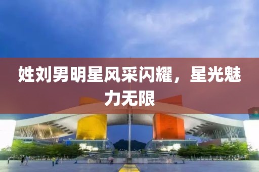 姓刘男明星风采闪耀，星光魅力无限