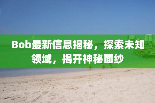 Bob最新信息揭秘，探索未知领域，揭开神秘面纱