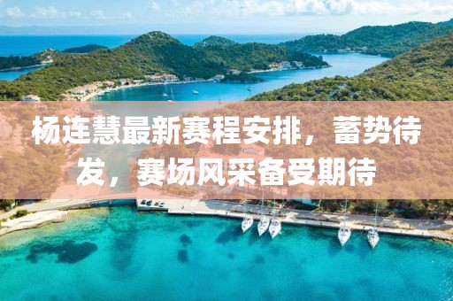 杨连慧最新赛程安排，蓄势待发，赛场风采备受期待