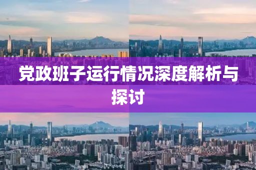 党政班子运行情况深度解析与探讨