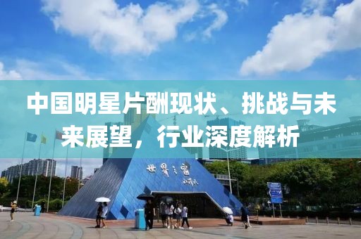 中国明星片酬现状、挑战与未来展望，行业深度解析