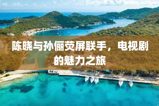 陈晓与孙俪荧屏联手，电视剧的魅力之旅