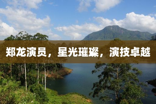 郑龙演员，星光璀璨，演技卓越