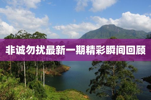 非诚勿扰最新一期精彩瞬间回顾