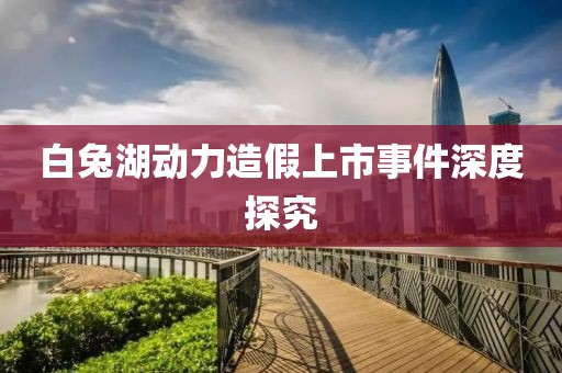 白兔湖动力造假上市事件深度探究