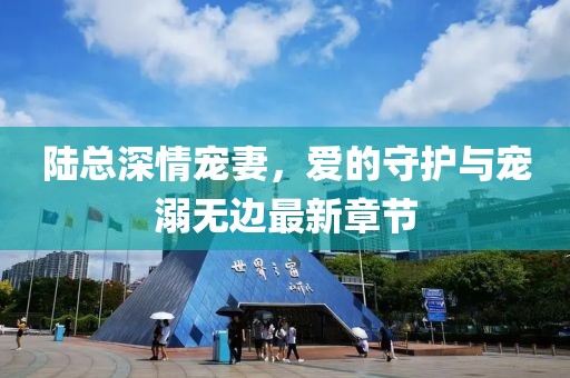 陆总深情宠妻，爱的守护与宠溺无边最新章节