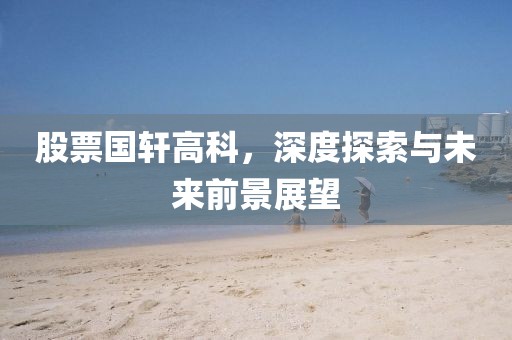 股票国轩高科，深度探索与未来前景展望