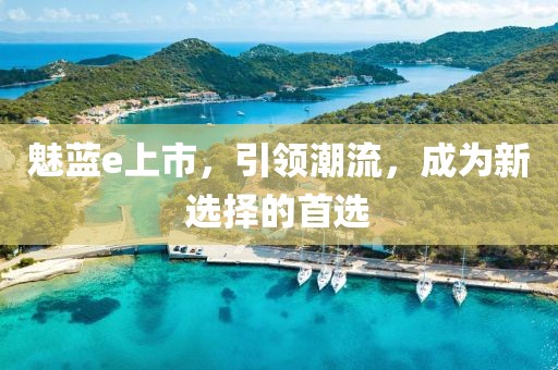 魅蓝e上市，引领潮流，成为新选择的首选