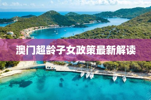 澳门超龄子女政策最新解读