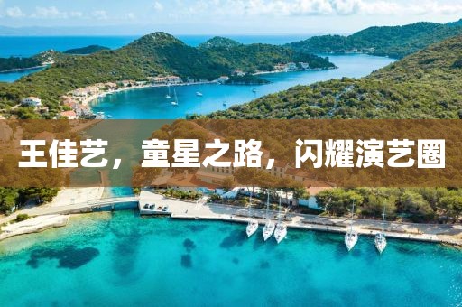 王佳艺，童星之路，闪耀演艺圈