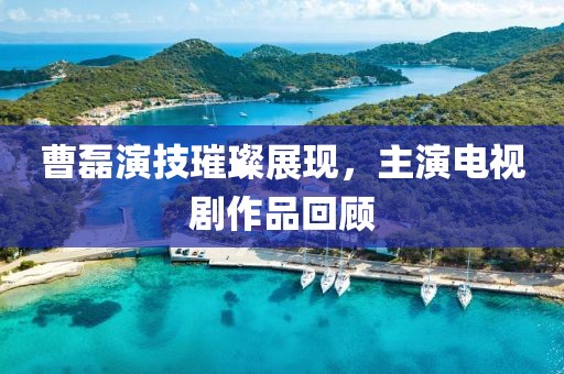 曹磊演技璀璨展现，主演电视剧作品回顾